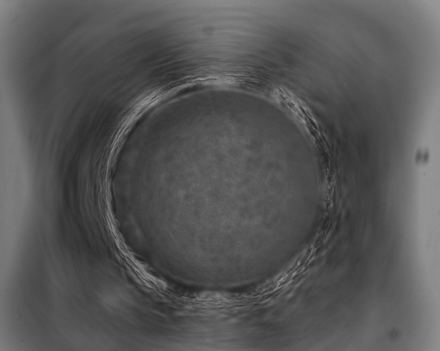 X0000098070145200804041133