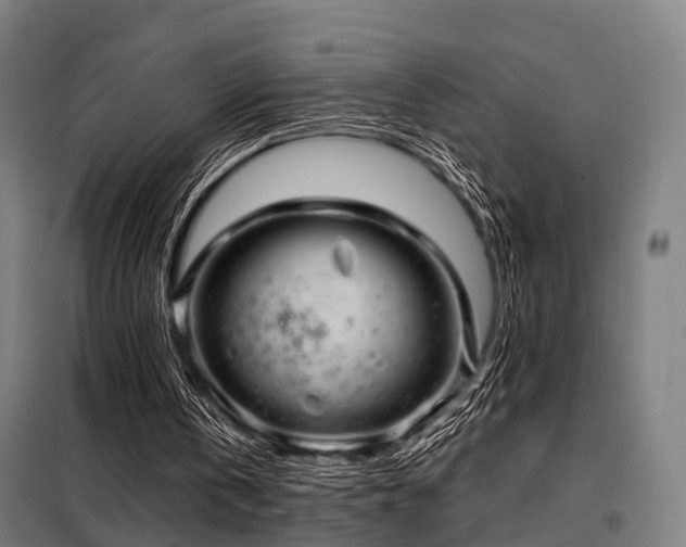 X0000098070146200804041133