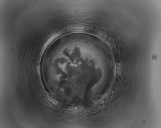 X0000098070147200804041133