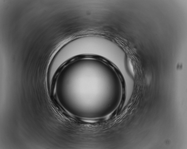 X0000098070148200804041133