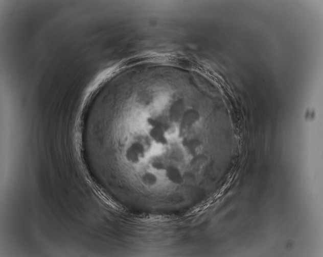 X0000098070149200804041133