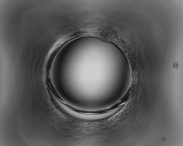 X0000098070150200804041133