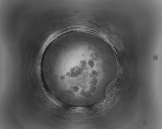 X0000098070151200804041133