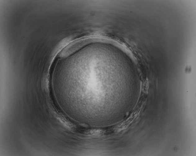 X0000098070152200804041133