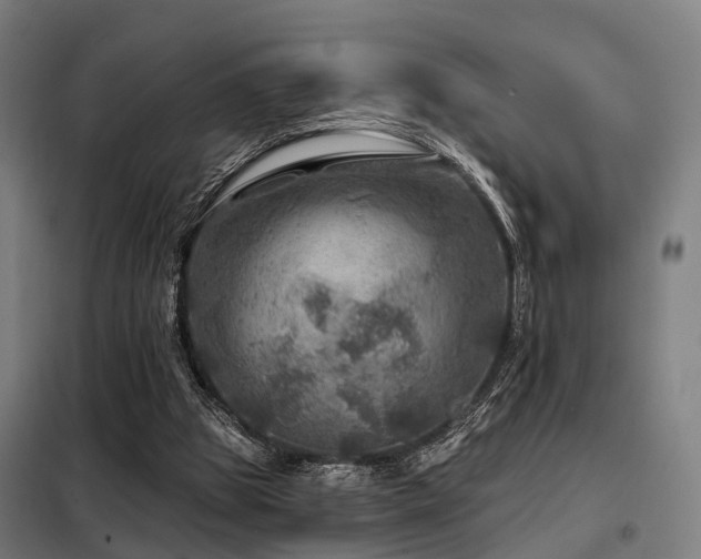 X0000098070153200804041133