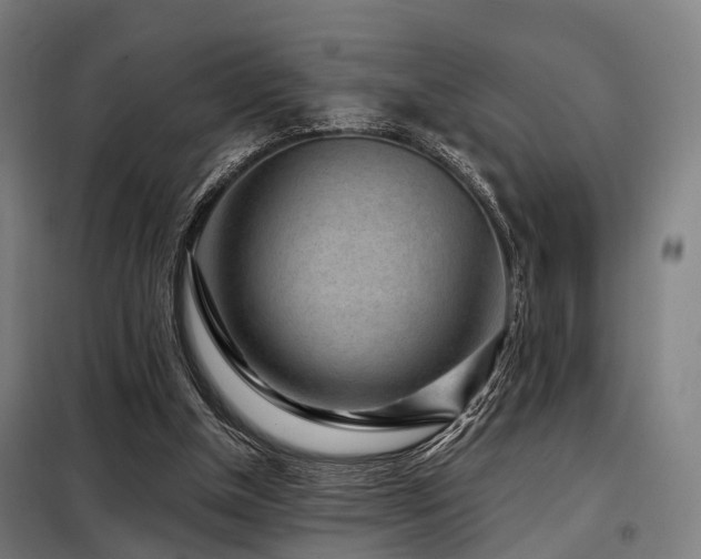 X0000098070154200804041133