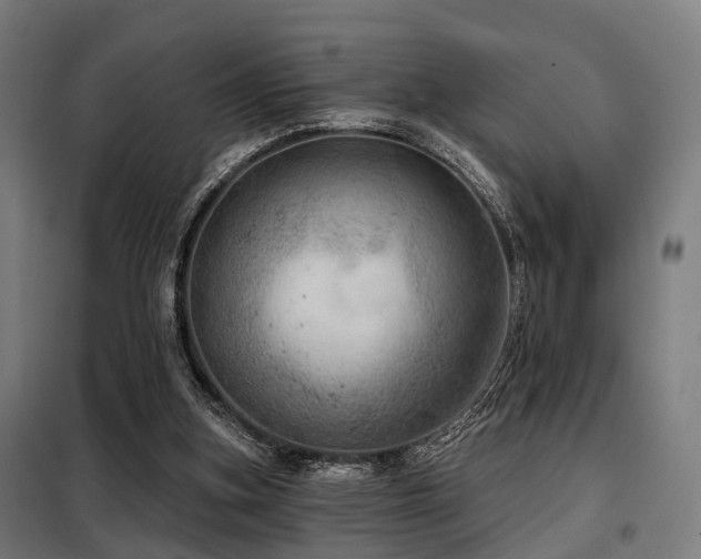 X0000098070155200804041133