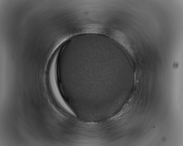 X0000098070156200804041133