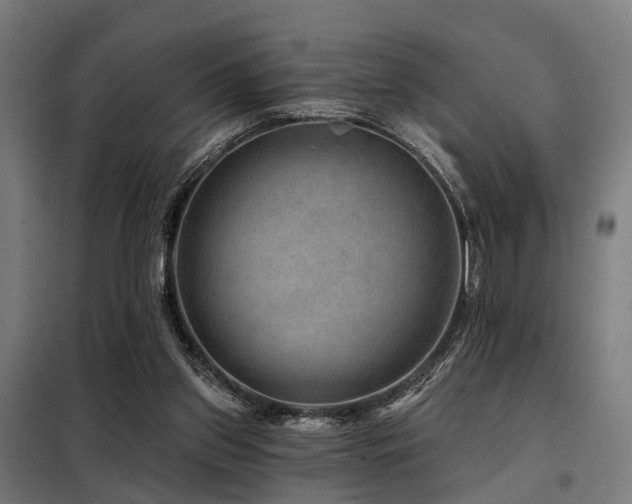 X0000098070157200804041133