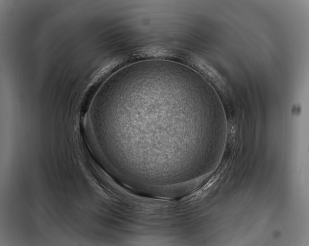 X0000098070158200804041133