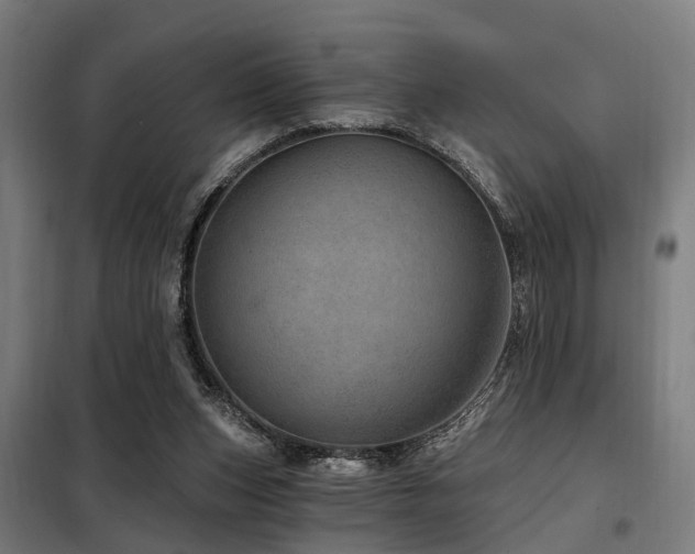 X0000098070159200804041133