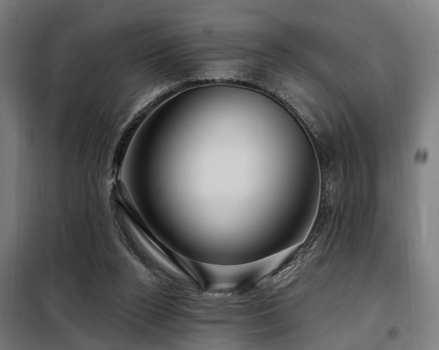 X0000098070160200804041133