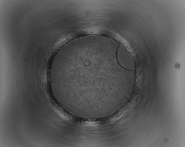 X0000098070161200804041133