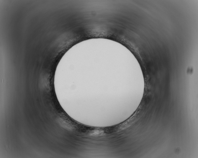 X0000098070162200804041133