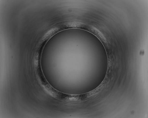 X0000098070163200804041133