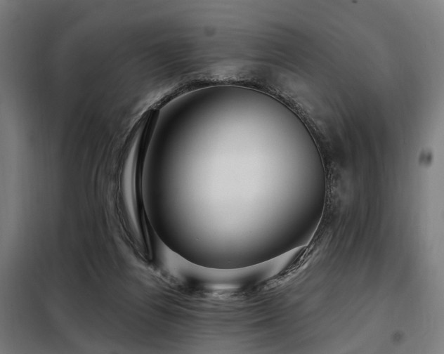 X0000098070164200804041133