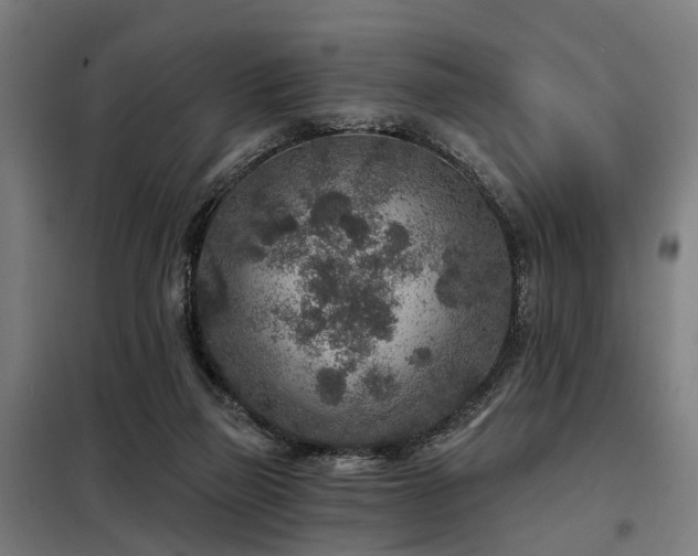 X0000098070165200804041133