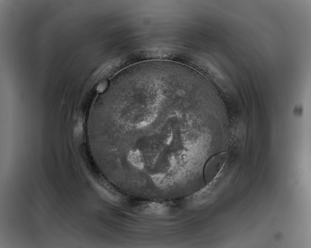 X0000098070166200804041133