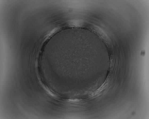 X0000098070168200804041133