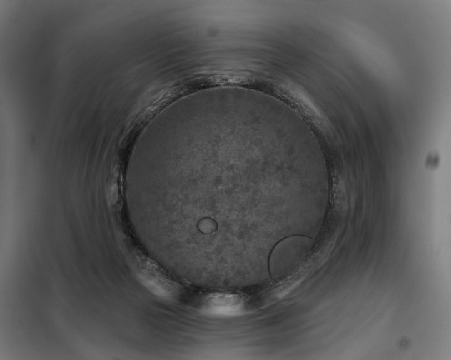 X0000098070169200804041133