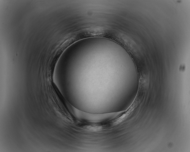 X0000098070170200804041133