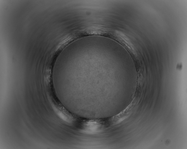 X0000098070171200804041133