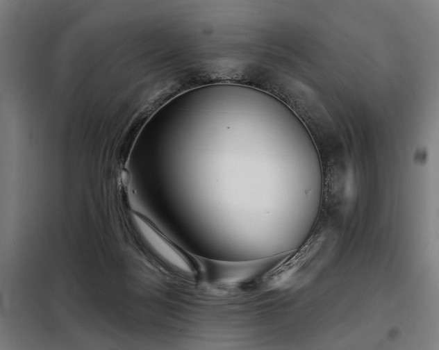 X0000098070172200804041133