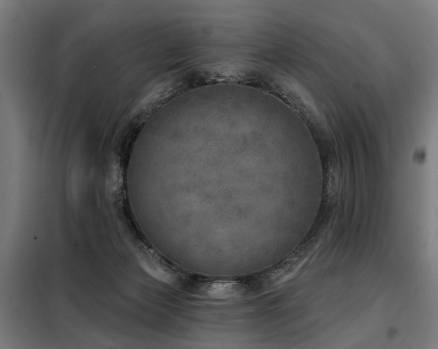 X0000098070173200804041133