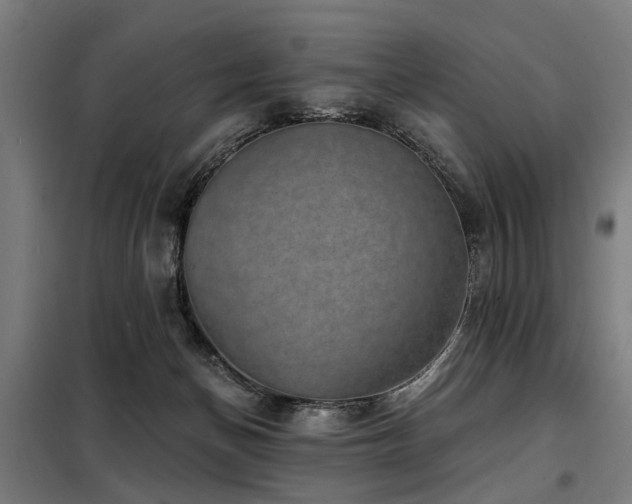 X0000098070174200804041133