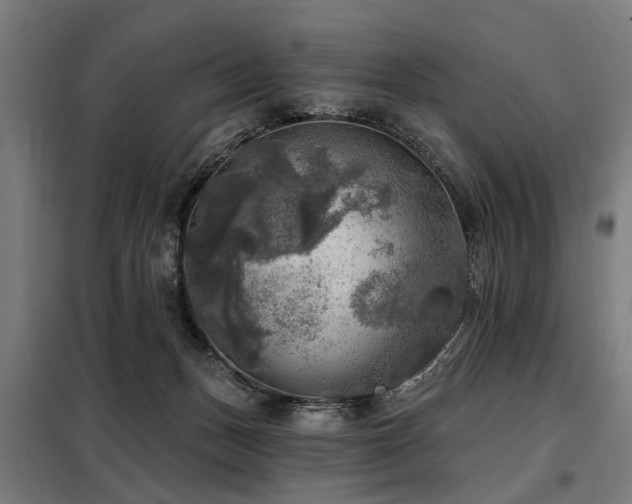 X0000098070175200804041133