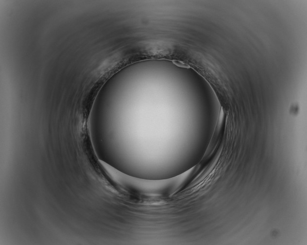 X0000098070176200804041133