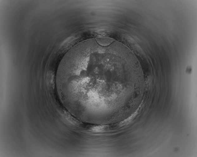 X0000098070178200804041134