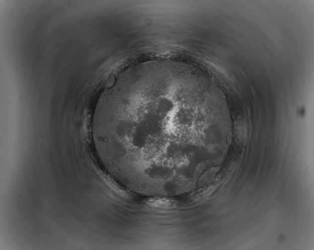 X0000098070181200804041134