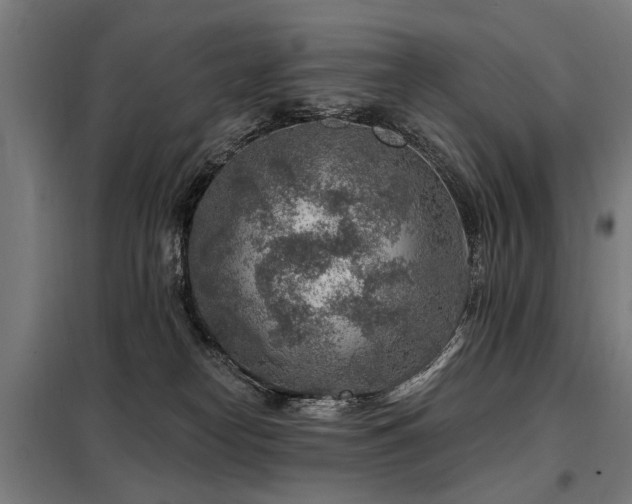 X0000098070182200804041134