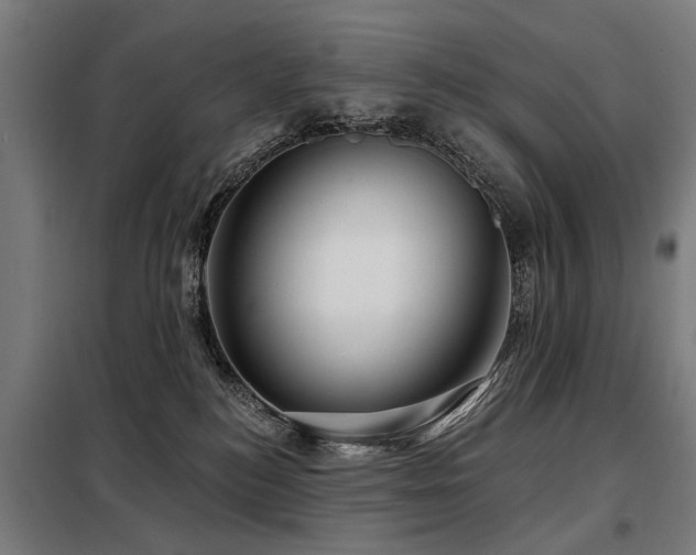 X0000098070184200804041134