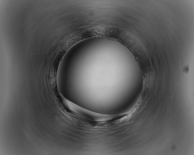 X0000098070186200804041134