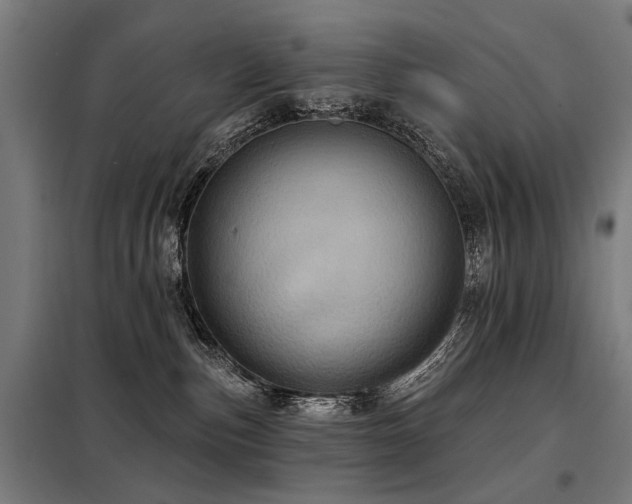 X0000098070187200804041134