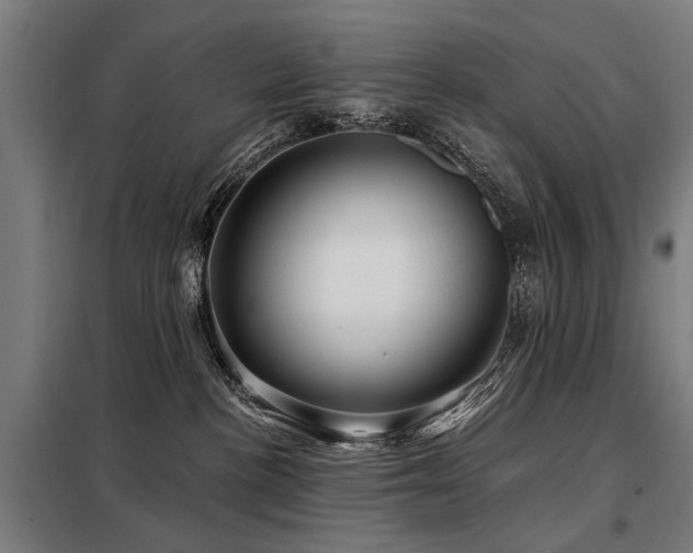 X0000098070188200804041134