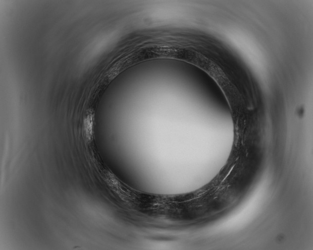 X0000098070190200804041134