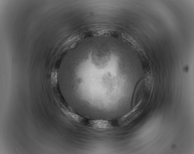 X0000098070191200804041134