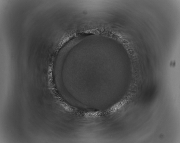 X0000098070192200804041134