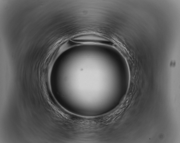 X0000098070193200804041133