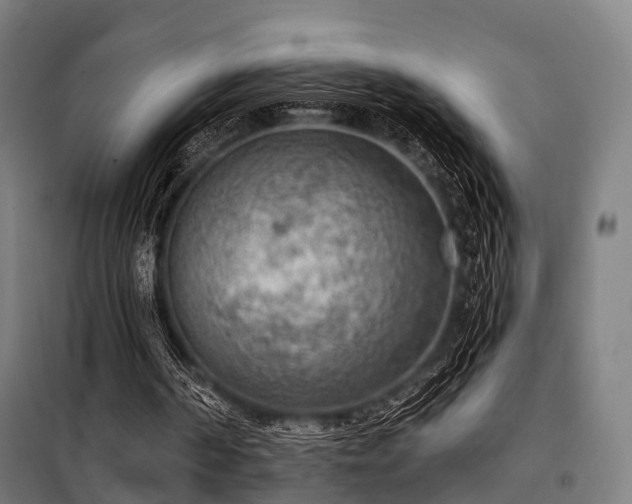 X0000098070194200804041133