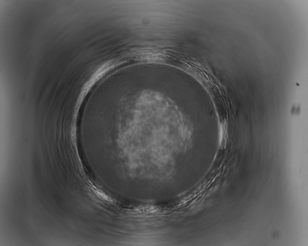 X0000098070195200804041133