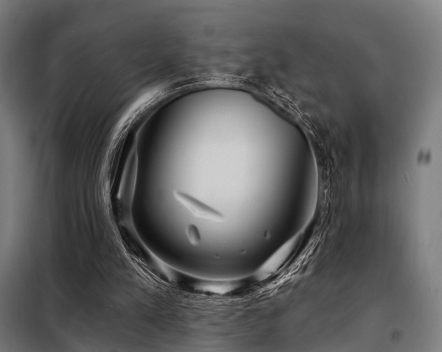 X0000098070197200804041133