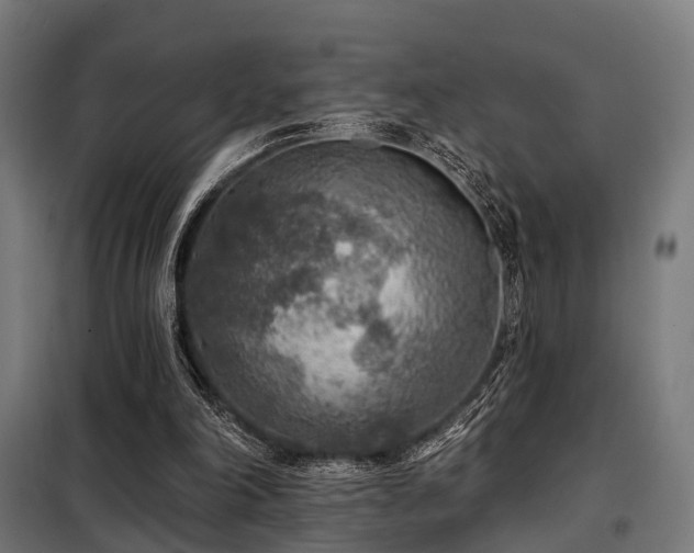 X0000098070198200804041133