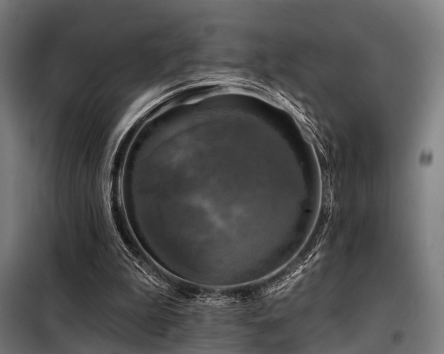 X0000098070199200804041133