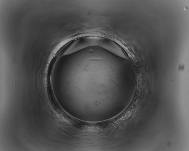 X0000098070200200804041133