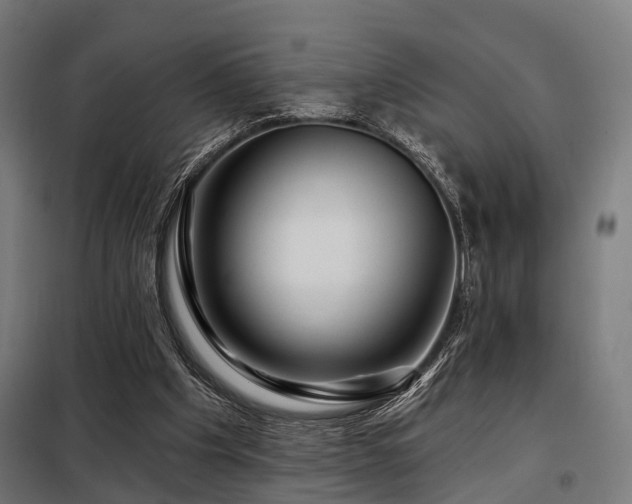 X0000098070201200804041133