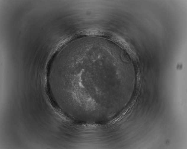 X0000098070202200804041133